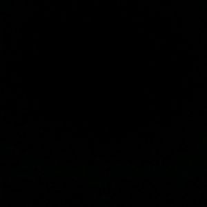 Meet your Posher, Evelyn